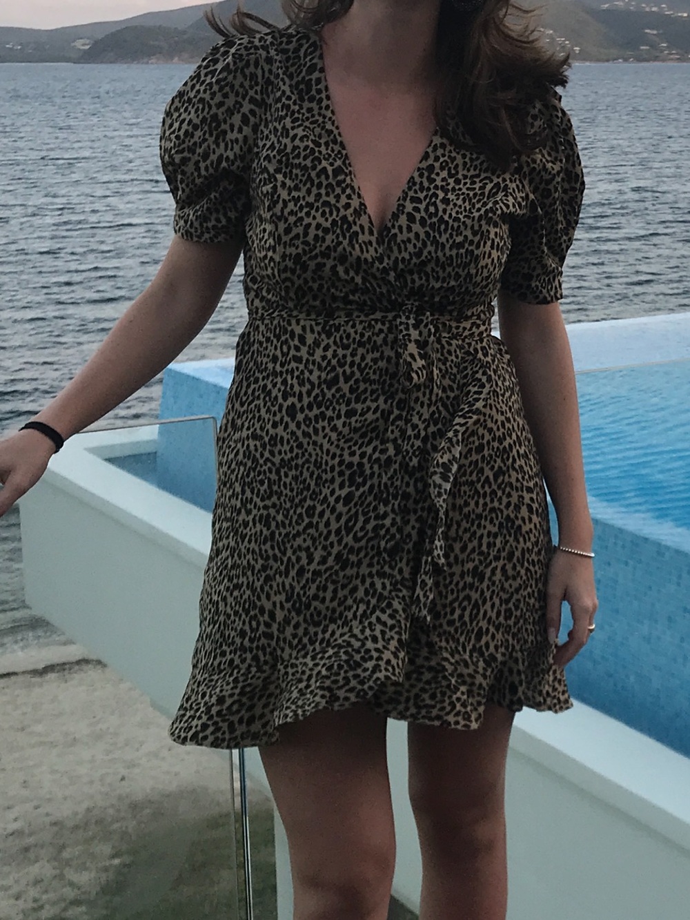 Leopard Print Wrap Mini Dress - Brown